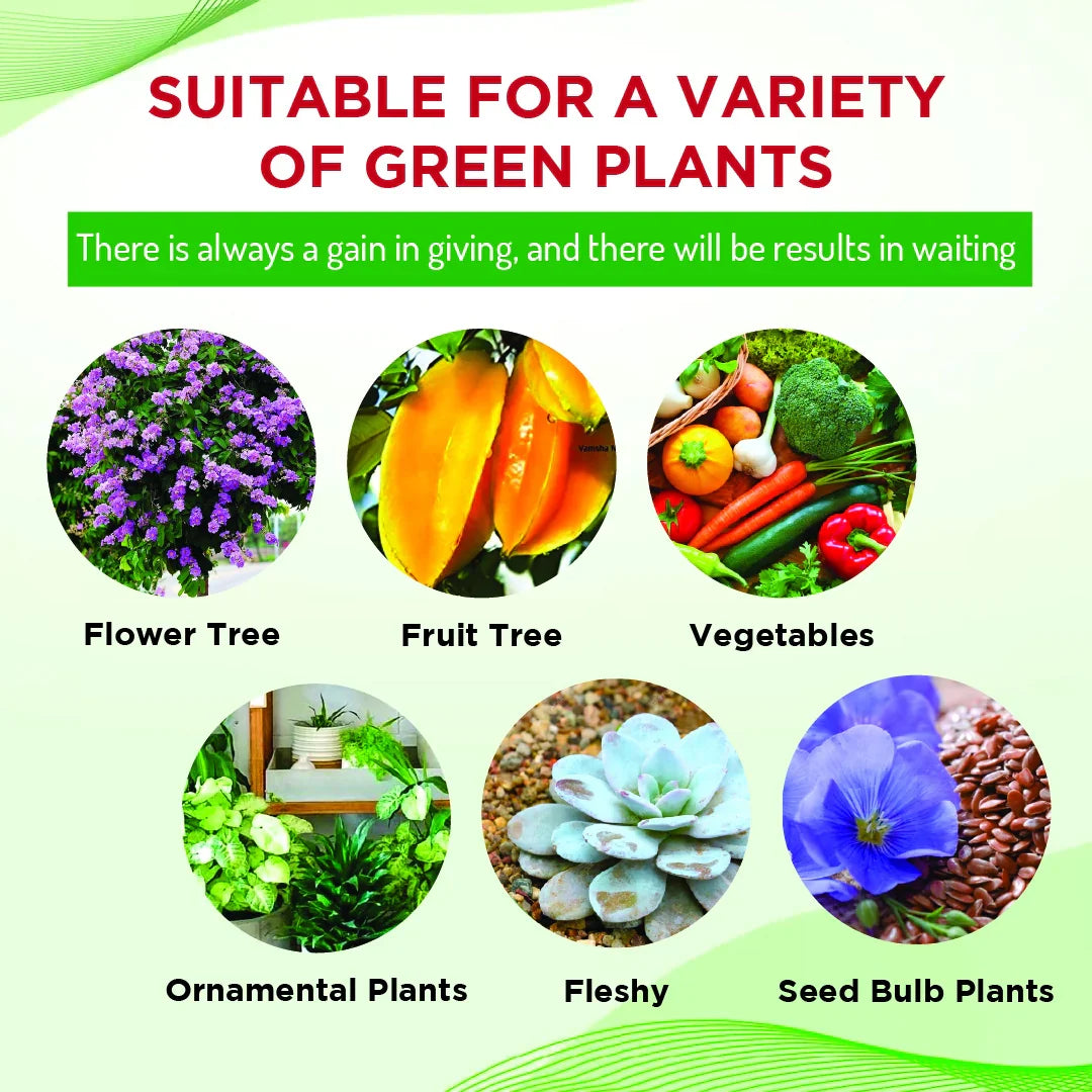 100% Organic Plant Boost Biofertilizer | BUY 1 GET 4 FREE (PACK OF 4)